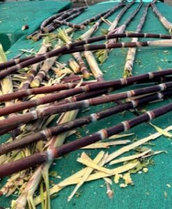 Photo of sugar cane on a green table.